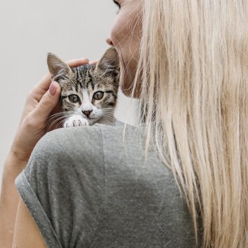 Campañas de Google Ads y redes sociales en España